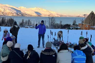 Tromsø: Escursioni con le racchette da neve con le renne
