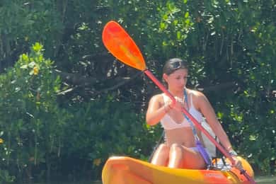 Tierra Verde: Shell Key Mangrove Private Guided 1.5 hr Tour