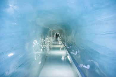 Excursión de un día privada: Lucerna a la Cima de Europa> Jungfraujoch