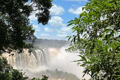 from Foz do Iguaçu: Private Tour on Iguaçu Falls