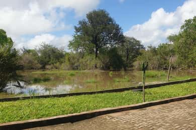 3 DAYS NYERERE NATIONAL PARK FROM ZANZIBAR BY FLIGHT.