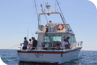 Rifffischen in Vilamoura