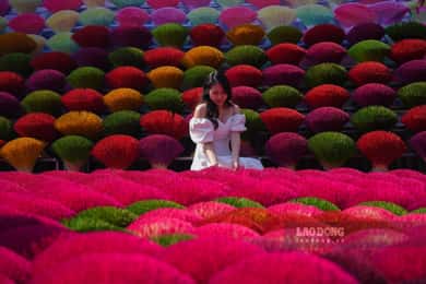 From Hanoi: Incense Village & Train Street Small Group Tour