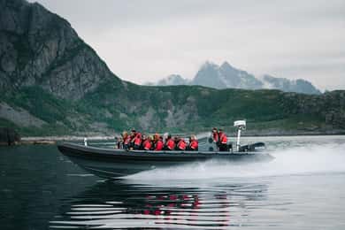 Fra Svolvær: RIB-båt Lofoten Trollfjord Havørnsafari
