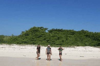 Giant Tortoises, Lava Tunnels, & Tortuga Bay Beach Day Tour
