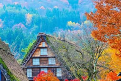 Z Kanazawy/Takayamy: Celodenní výlet do Shirakawago a Takayamy