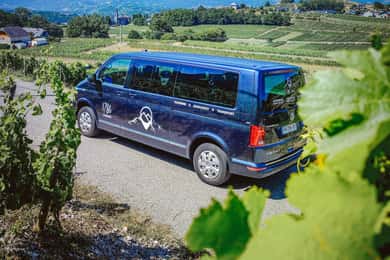 Wine Tour with private driver - 10 hours