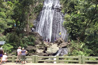 San Juan: El Yunque Rainforest Guided Tour