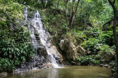 Minca, cachoeiras e fazenda de café