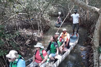 Cartagena: Sail in the mangroves of Cartagena