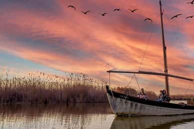 Vanuit Valencia: Natuurpark Albufera met rondvaart bij zonsondergang