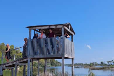 Ab Durres: Karavasta Lagune Abenteuer Bootstour & Wildlife