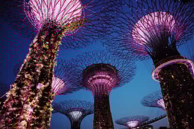 Singapour : Visite privée avec un guide de la région