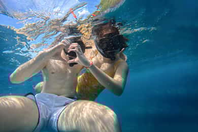Ko Tao: Snorkeltur for senvågnere med frokost og fotos