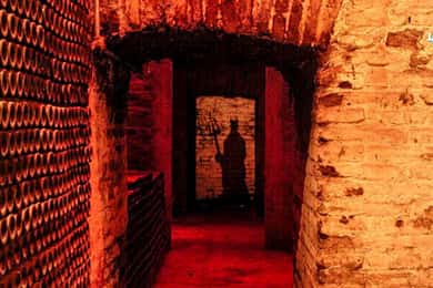 Santiago: Nova Experiência na Vinícola Concha y Toro