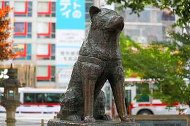 Tóquio: Excursão a pé pela travessia de Shibuya e ruas escondidas