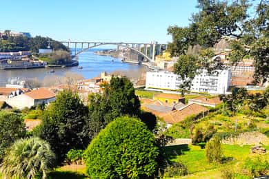 Zen Walking Tour Porto : Trouvez votre équilibre 2h