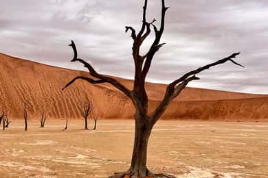 Sossusvlei: Dagtrip