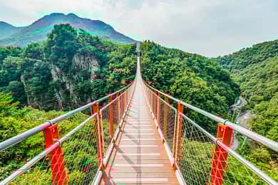 Seoul: DMZ, 3rd Tunnel and Optional Suspension Bridge Tour