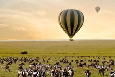 4 Days Safari from Zanzibar