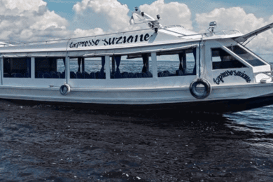 Excursão Safari Amazônico em Manaus (compartilhado)