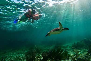 Puerto Morelos : Activité guidée de plongée avec tuba