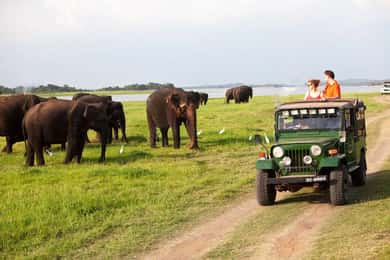 Minneriya: Private Jeep Safari From Trincomalee