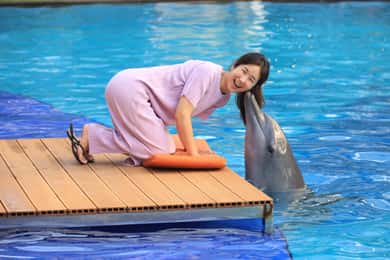 Bali: "Explorer" Meet Dolphins with High Tea
