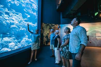 Visite nocturne guidée de l'aquarium et dîner à deux plats