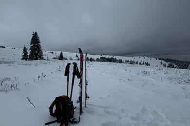 Vitosha: Excursión de un día de esquí de la Escuela de Esquí Mountain Stars