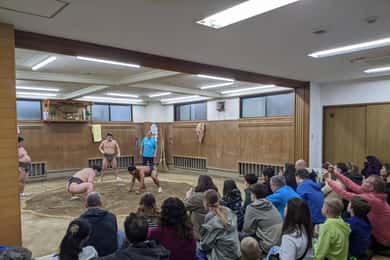 Tokyo: Vizită la grajdurile Sumo și antrenament de dimineață