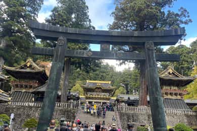 Giappone: Tour privato di Tokyo e della campagna con guida