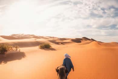 Au départ de Marrakech : Circuit de 3 jours dans le désert jusqu'à Fès
