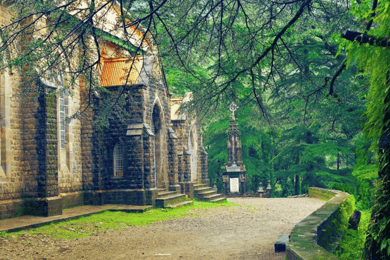 Mcleodganj Nature Trek (3 Hours Guided Walking Tour)