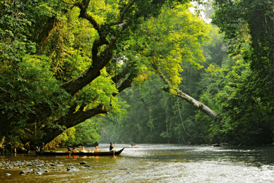 Fra Kuala Lumpur: Privat tur i Taman Negara nasjonalpark