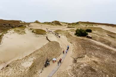 Excursão de um dia em grupo: Curonian spit (Neringa) a partir de Klaipeda DFDS
