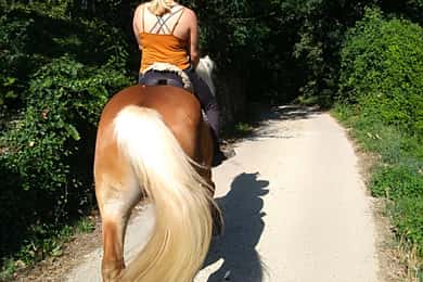 Casentino : Randonnée à cheval avec vue sur le Sanctuaire de la Verna