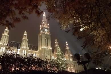 Walking on the historical trail of Viennese Christmas Trees