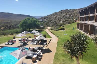 Private Tour: Big 5 Safari, Experience the wild animals