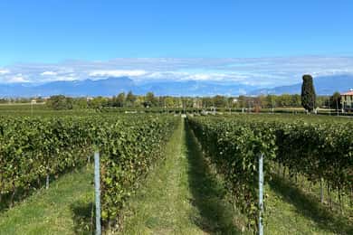 Lake Garda: Wine Tasting and Myths Tour with Local Snacks