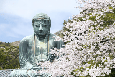 Tokio: Excursión de un día a Kamakura y Enoshima con servicio de recogida del hotel