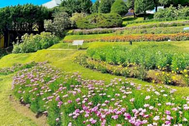 Chiang Mai: Excursión al Parque Doi Inthanon con almuerzo y ticket de entrada
