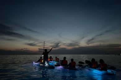 Pola: Tour serale e notturno in kayak trasparente illuminato