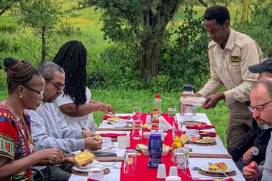 Serengeti Ballonfahrt und luxuriöses Buschfrühstück