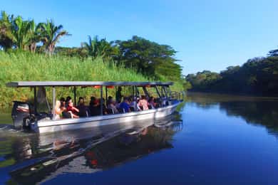 Jungle Safari Boat Tour with Cultural Experience