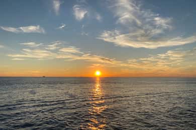 Cape May: Sunset Dolphin Watching Cruise med mad
