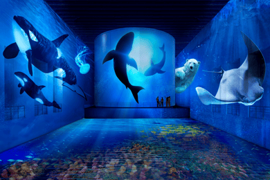 Bordeaux: Bassins des Lumières Ocean Ticket