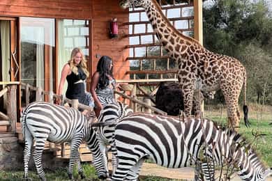 Moshi: Serval Wildlife Tour with food and drinks