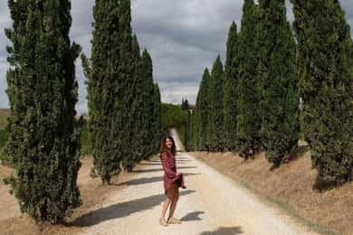 Desde Siena: tour en grupo reducido por el Chianti y los castillos