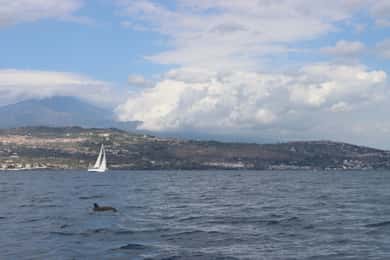 Catania: Zeilervaring met dolfijnen met Marecamp